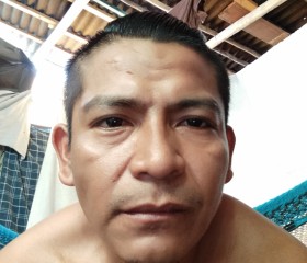 Luis, 37 лет, Playa del Carmen