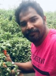 Senthil, 33 года, Chennai