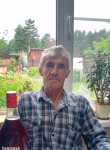 Сергей, 63 года, Нижнеудинск