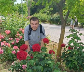 Sasha, 59, Sevastopol