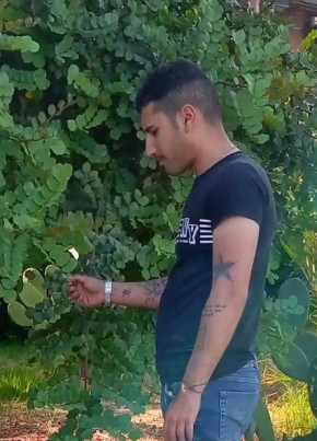 Frank из Roma 27 лет