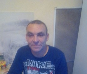 Александр, 47 лет, Переславль-Залесский