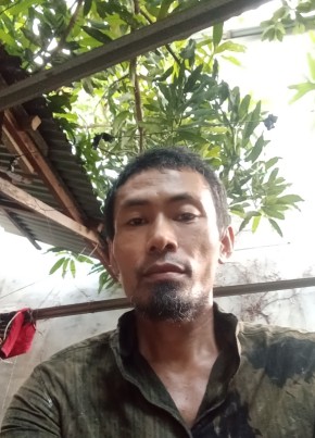 Al из Kota Medan 35 лет