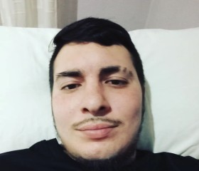 SeroSero, 28, l Alfas del Pi
