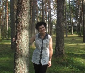 Людмила, 65 лет, Колпино