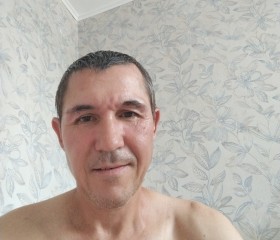 Шамиль, 48 лет, Казань