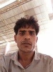 Mansukh , 41 год, Rajkot