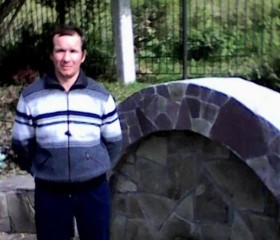 Павел Докучаев, 42 года, Арти