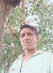 BaBal, 42 года, Ludhiana