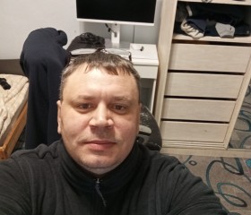 Станислав, 43 года, Москва