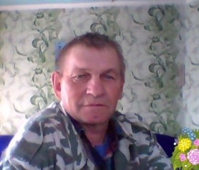 Владимир, 67 лет, Инза