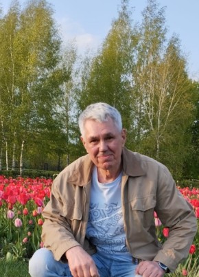 Walerij, 68, Россия, Москва
