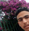 shareef