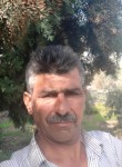 عمرمشو, 43  , Antakya