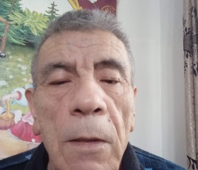 Халилжан Саматов, 74 года, Алматы