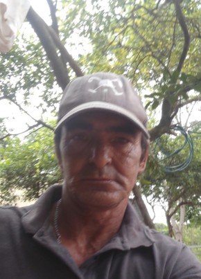Roberto perova, 51, República Federativa do Brasil, Bauru
