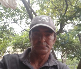 Roberto perova, 51 год, Bauru