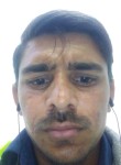Shahbaz rasool, 26 лет, چک جهُمره