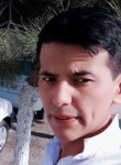 Самандар, 31 год, Toshkent