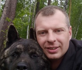 Дмитрий, 42 года, Верхняя Пышма
