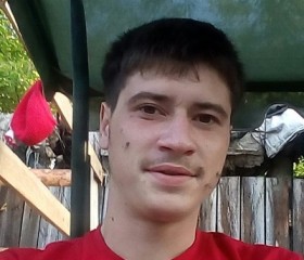 Анатолий, 28 лет, Асино