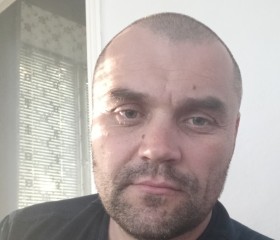 Александр, 41 год, Гуляйполе
