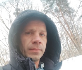 Митрич, 44 года, Красногорск