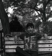 Pash