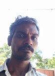 Davidraj, 36 лет, Madurai