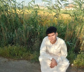 Ahmed, 21, Alexandria