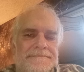 Steve, 64 года, Dyersburg