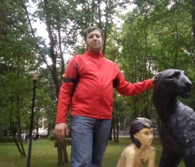 Степан, 34 года, Санкт-Петербург