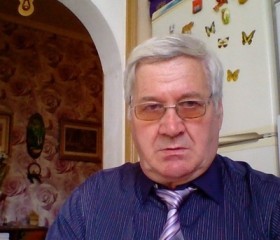 Анатолий, 72 года, Пермь