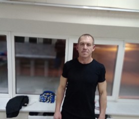 Владимир, 46 лет, Нижний Новгород