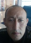 Азат Токоев, 42 года, Бишкек
