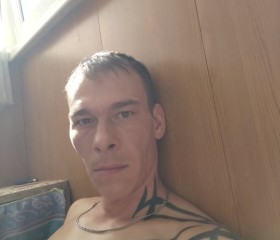Николай Волков, 36 лет, Дальнереченск