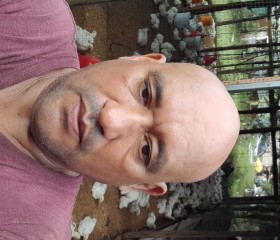 Luis, 51, Canas