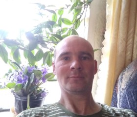 Серж, 44 года, Мантурово (Костромская обл.)