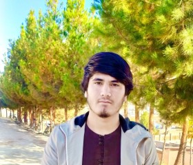 Zahid halim, 18 лет, کابل