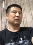 郑玉龙, 49 лет, 上虞