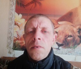 виталий, 42 года, Павлоград