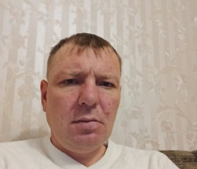 Владимир, 42 года, Боровичи