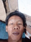 Wahyu, 33 года, Kota Bandar Lampung