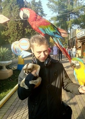 Сергей, 36, Россия, Сочи