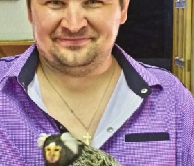 Виктор Климов, 44 года, Муравленко