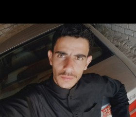 هاني, 26, Alexandria