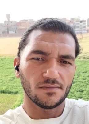 معتز, 31, Egypt, Al Mansurah