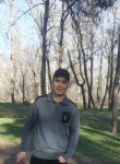 Стас, 46 лет, Бишкек
