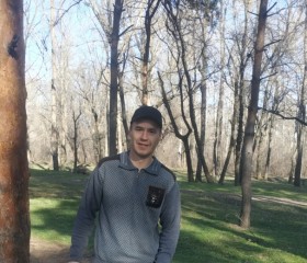Стас, 46 лет, Бишкек