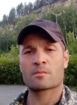 Миша, 43 года, Горно-Алтайск